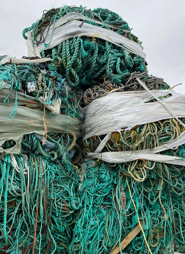 Premi - Medaljer fra Plasteriet