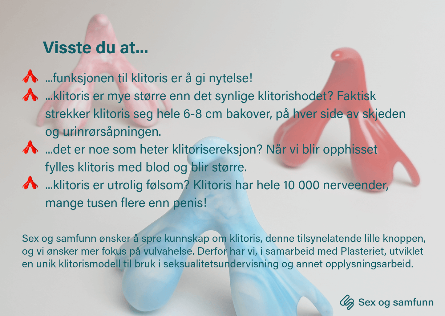 Klitoris 15-pak - Sex og samfunn